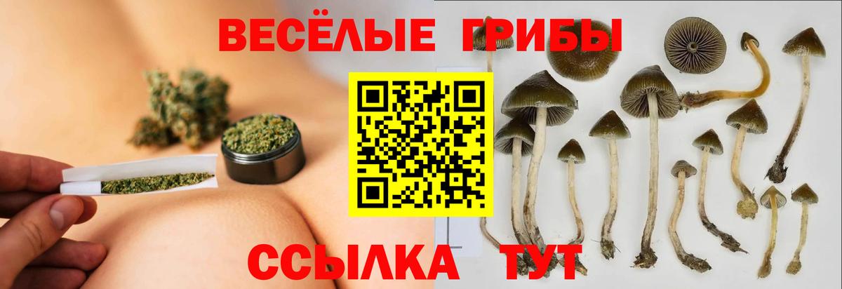 Галлюциногенные грибы MAGIC MUSHROOMS  Псилоцибиновые грибы ЛСД  Вход с VPN  Кольчугино 